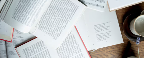 Dissertation Literature