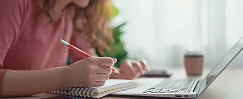 Persuasive Essay Writing