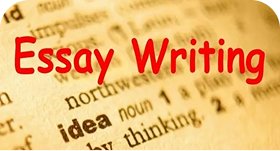University Essay Writing